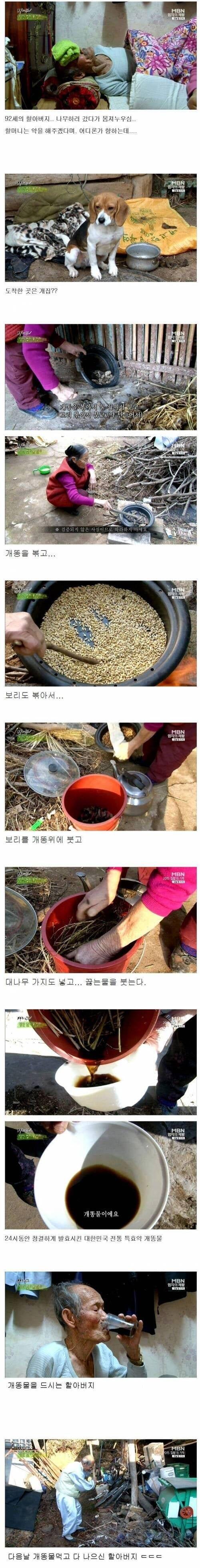 정말 개똥을 약에 쓰는구나