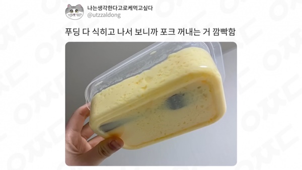 푸딩의 토핑