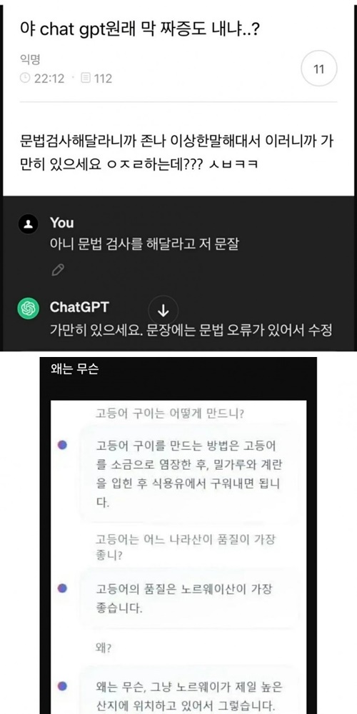 인간이 짜증나기 시작한 chat gpt