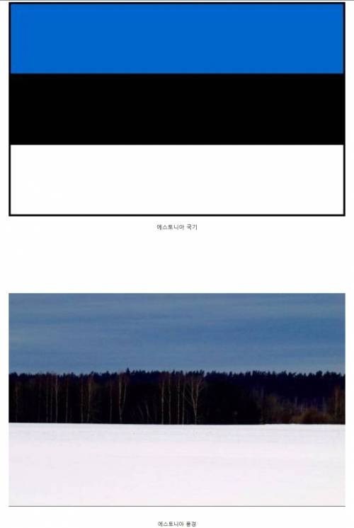 에스토니아 국기의 비밀