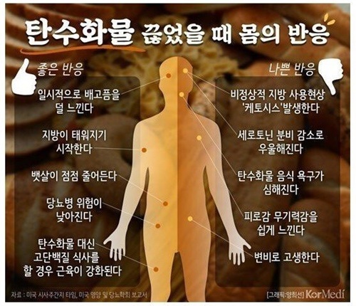 탄수화물을 끊었을때 몸의 변화