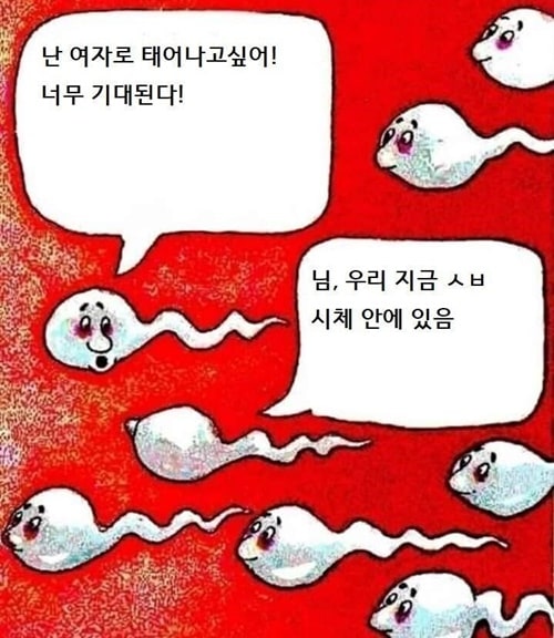 예쁜 여자로 태어났으면 좋겠다