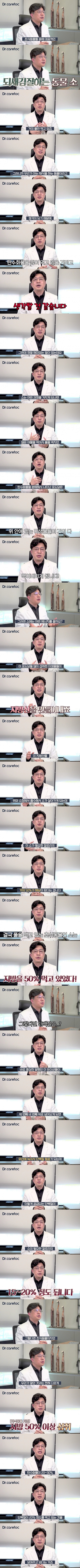 소가 풀만 먹어도 덩치 큰 이유