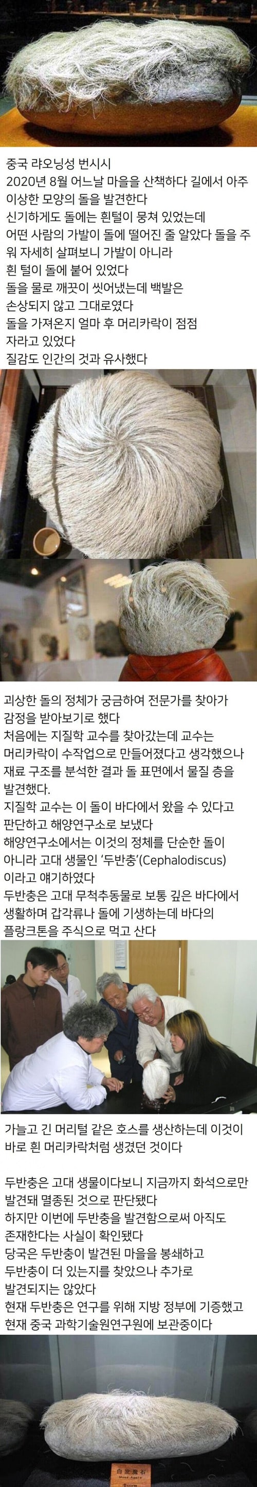 뭘 주운거야