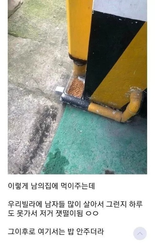 흡연자의 순기능