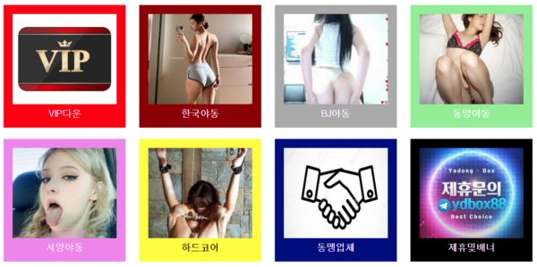 야동박스 접속불가