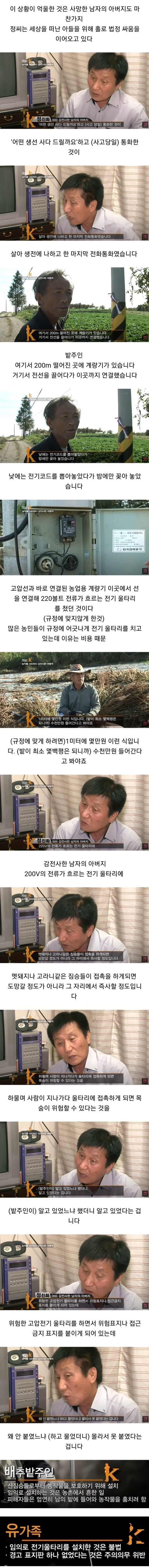 배추 서리로 인해 인생이 망가진 사람들