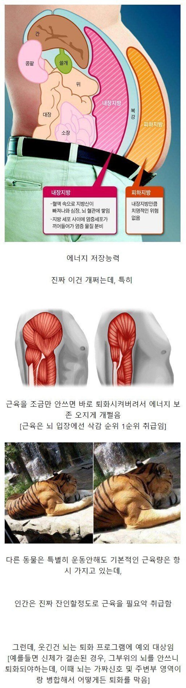 놀라운 인간의 S급 능력