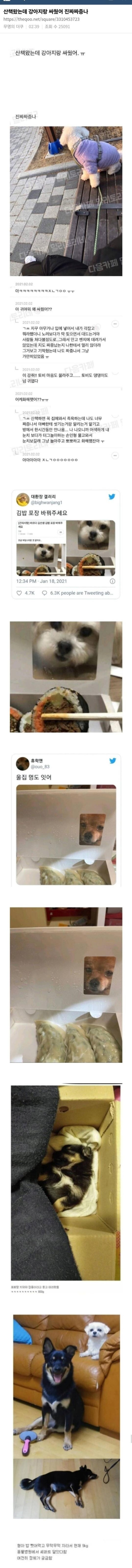 칼로 물베기