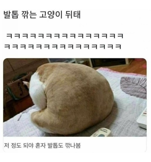 발톱깎는 뒷태