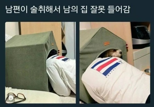 술 취해서 남의 집 잘못 들어감