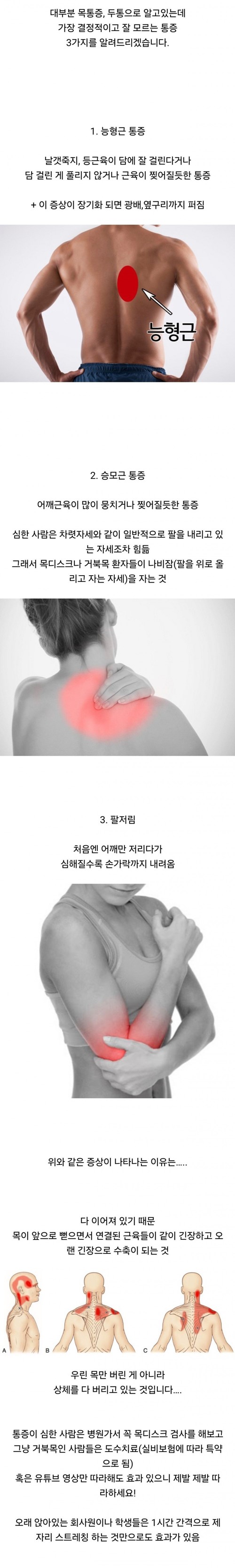 이거 아시나요? 목 디스크, 거북목 증상