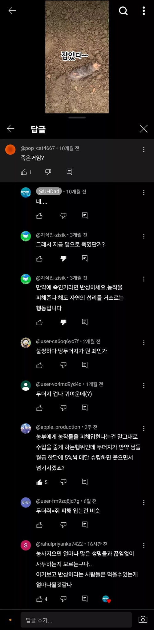 잡았다 요놈