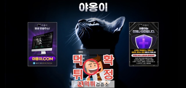 야옹이 먹튀사이트 확정