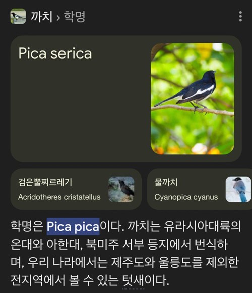 배움에는 끝이 없다