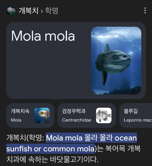 배움에는 끝이 없다