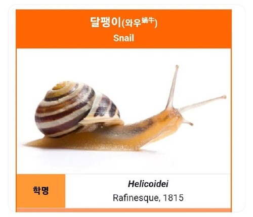 배움에는 끝이 없다