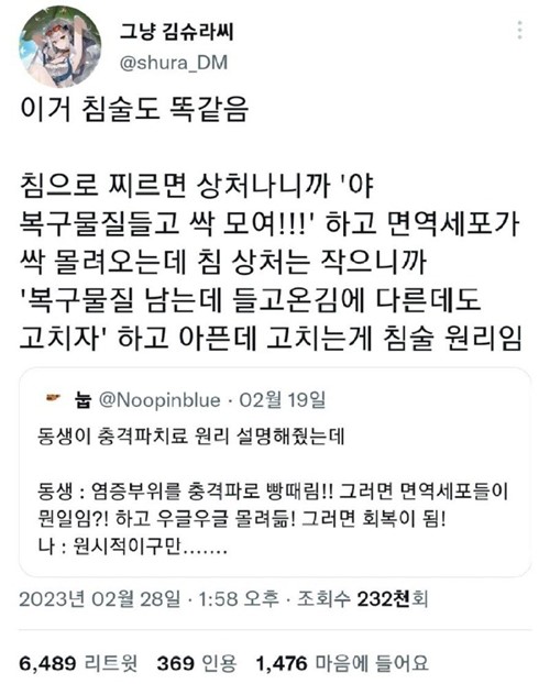 의술의 치료 원리