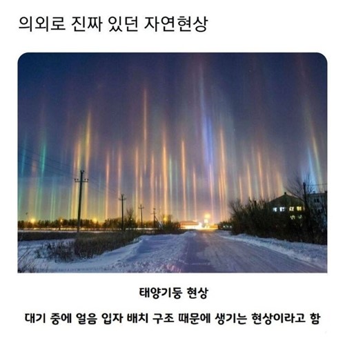 이걸 보고 착해져야겠다 생각이 든다