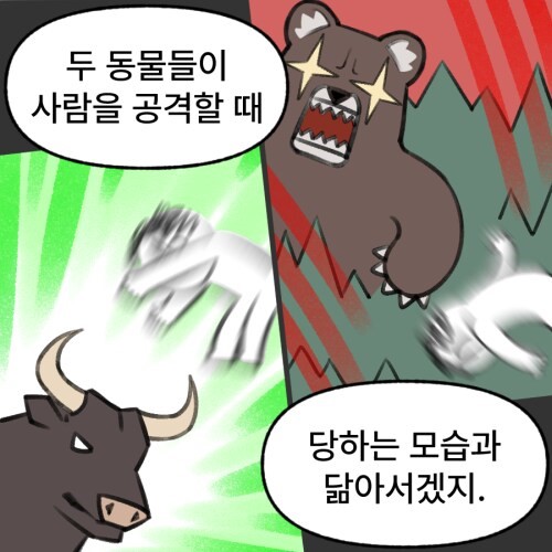 개인 투자자