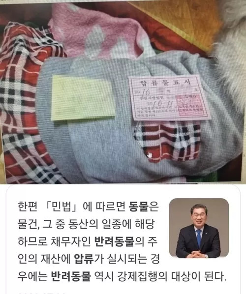 이럴땐 가족이 안되는구나