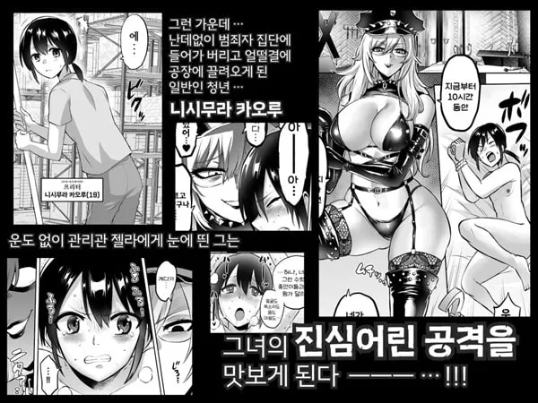 가축관리관젤라