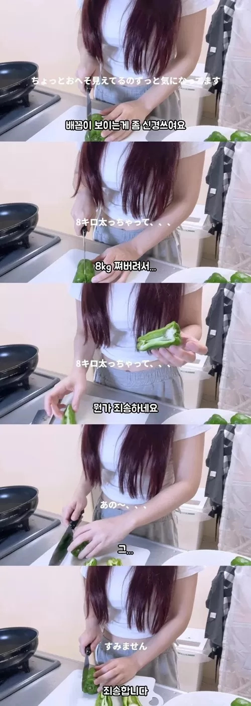 살쪄서 스미마셍 일본 누나