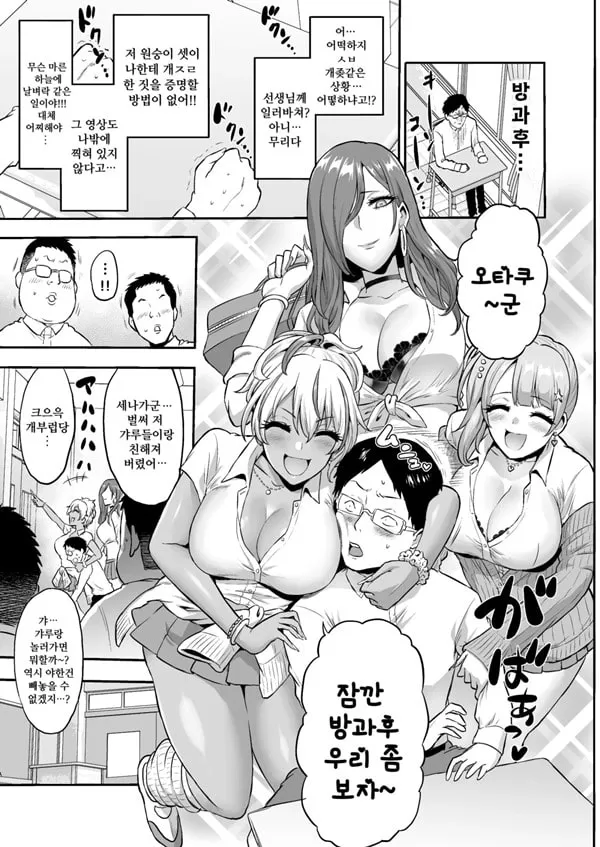 감각의 파라필리아 음학학원
