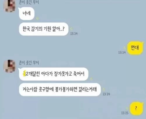 한국 감기의 충격적인 기원