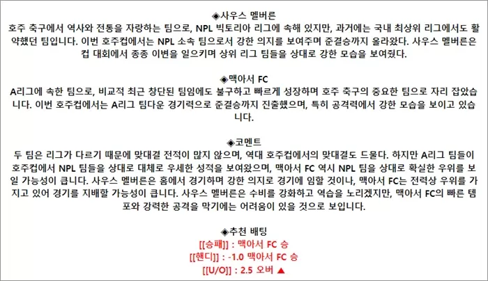 9월 22일 호주FA컵 사우스멜 맥아서FC