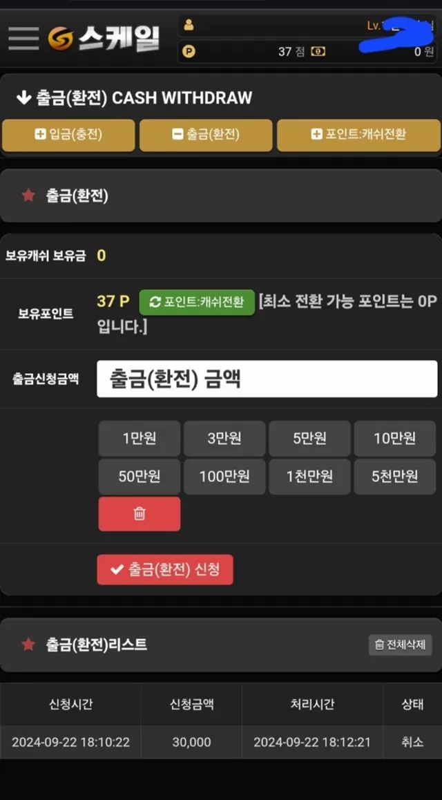 스케일 소액먹튀사이트