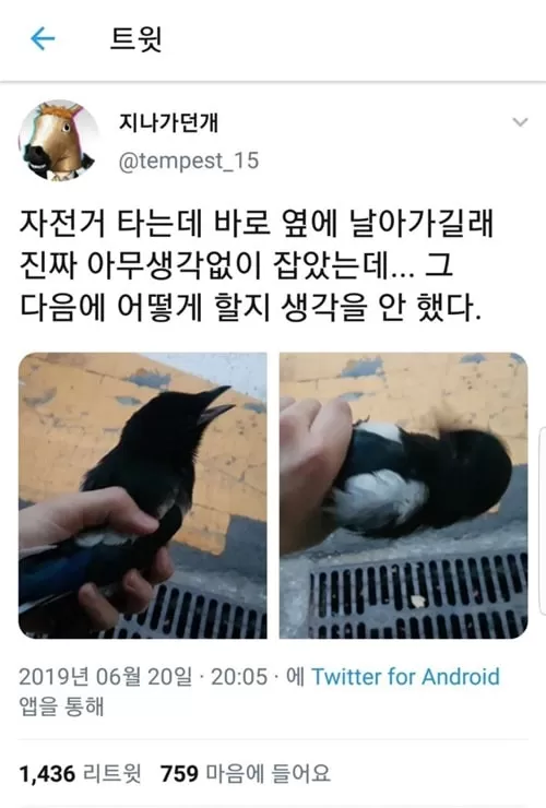 새가 날아가길래 엉겁결에..