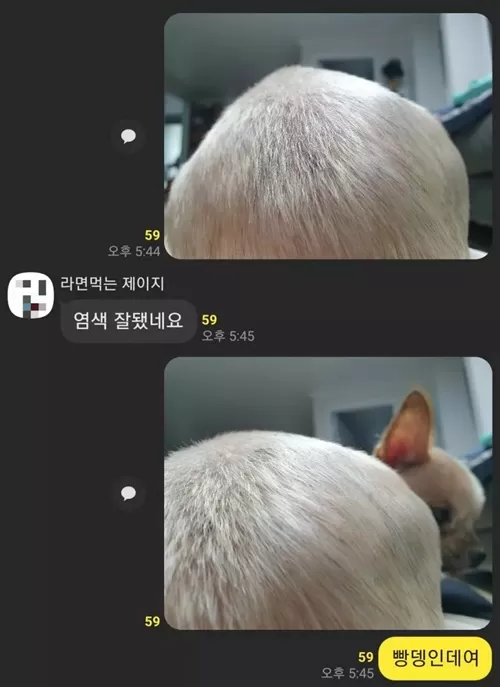 색깔 잘 나왔네