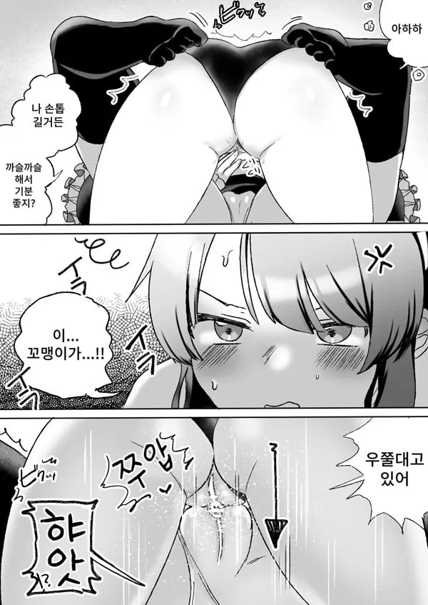고양이들의 싸움