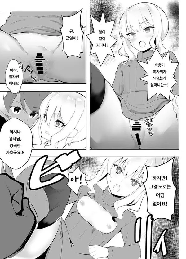 암컷타락한 용사님