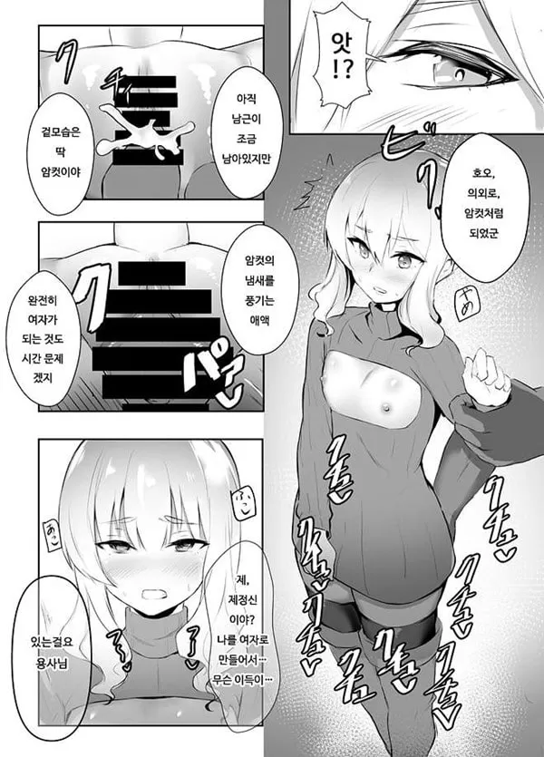 암컷타락한 용사님