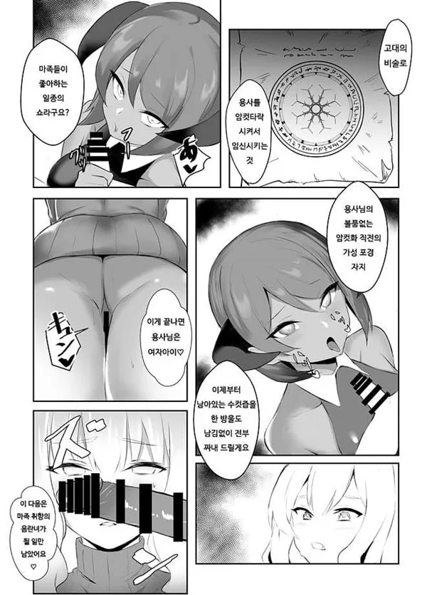 암컷타락한 용사님