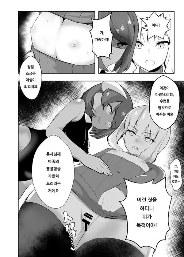암컷타락한 용사님