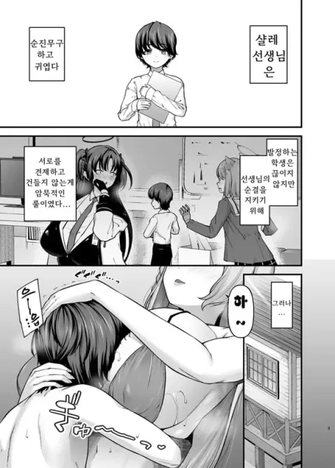세헤키 파괴부