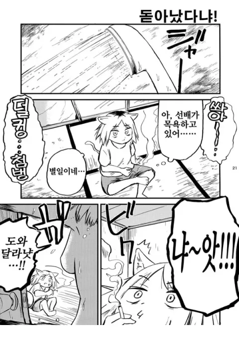 우편함에 쥐나 벌레의 사체를 넣지 말라고 했잖아