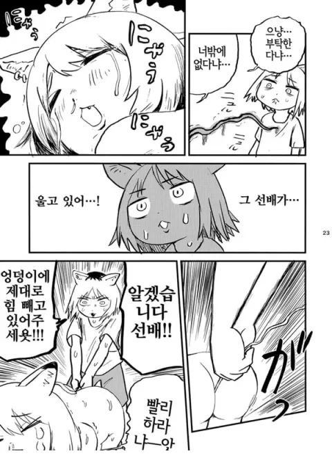 우편함에 쥐나 벌레의 사체를 넣지 말라고 했잖아