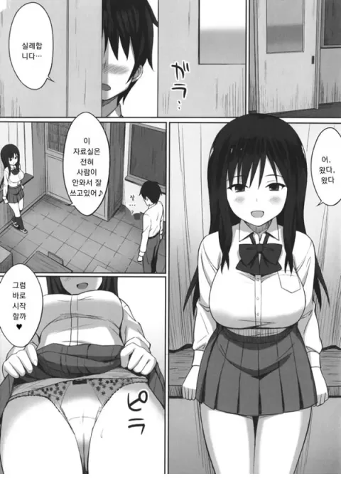 능란한 세플레 작법