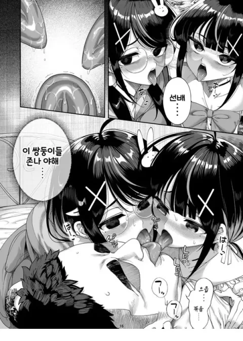 쌍둥이 메스가키 곰계ㅈㅈ를 받들다