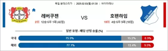 2월 03일 분데스리가 레버쿠젠 vs 호펜하임