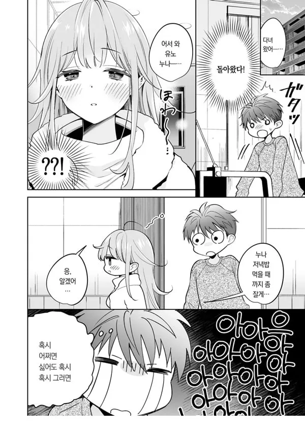누나는 네가 좋아