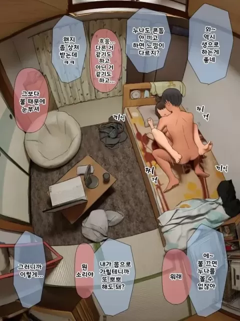 결국 해주는 누나
