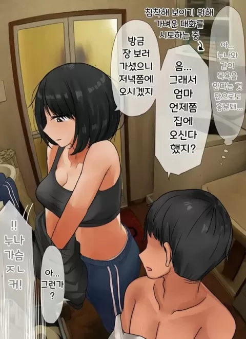 결국 해주는 누나