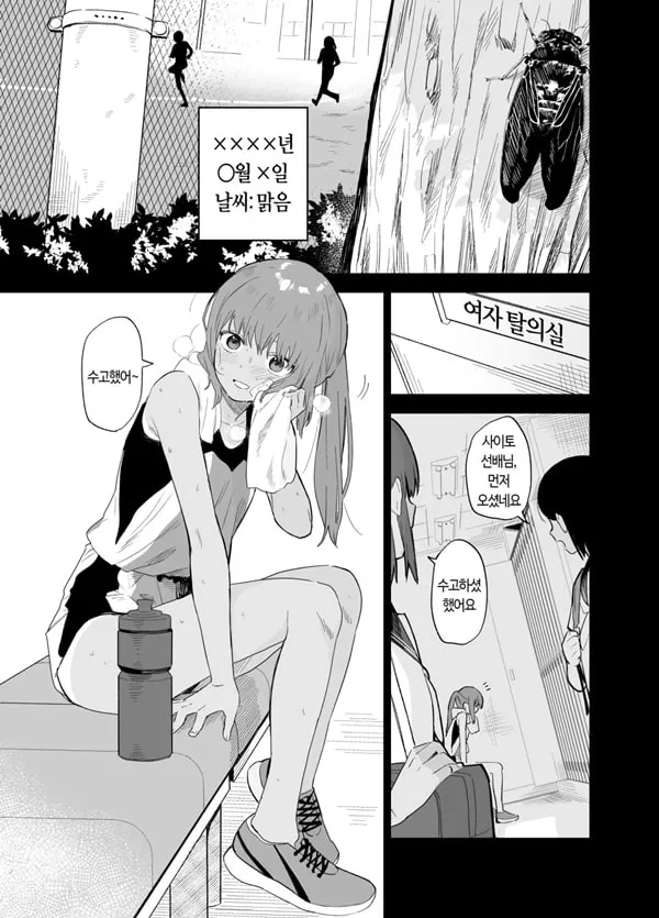 상시상애