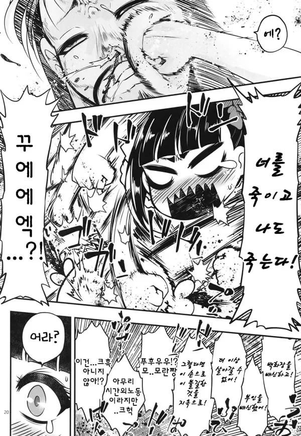 백화장 9