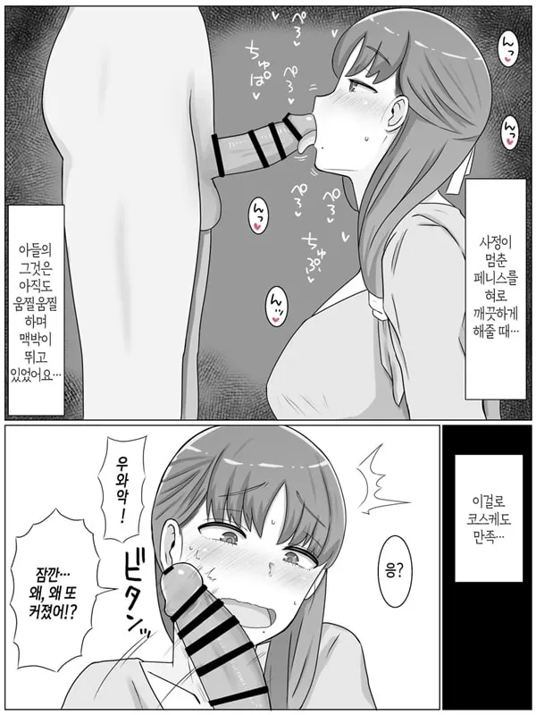엄마와 하고 싶은 일~절륜 아들과의 성활 회상편